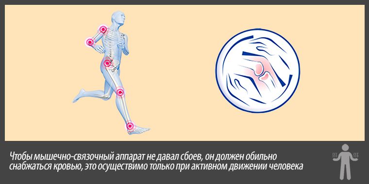 3 лучших комплекса упражнений цигун яншен для здоровья вашей спины суставов