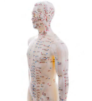 изображение точек для китайского иглоукалывания