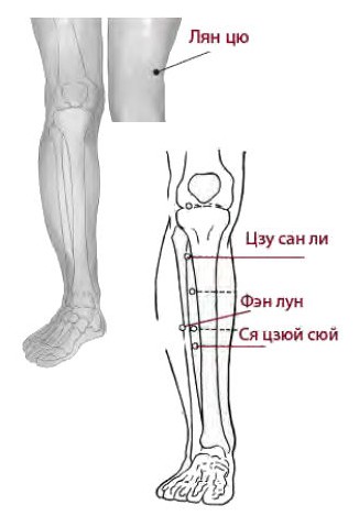 точки лян цю фэн лун