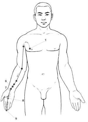 изображение канала перикарда