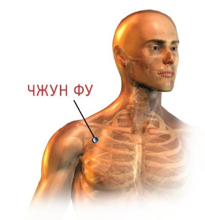 картинка расположениея точки чжун фу