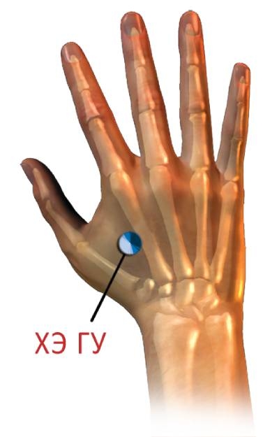 картинка с расположением точки хэ гу