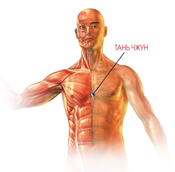 картинка с расположением точки тань чжун